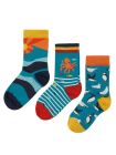 Set 3 perechi şosete Rock My Socks Camper Blue Sea Life